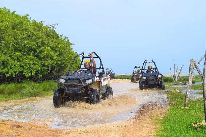 Coastline ATV to Rick's Cafe: Negril Private Tour & Cliff Dive photo 3