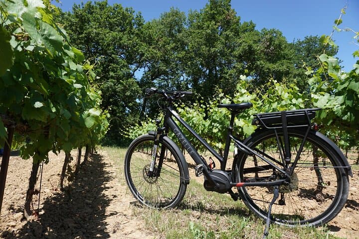 Full-Day E-Bike Rental Around Mont Ventoux from Vaison-la-Romaine