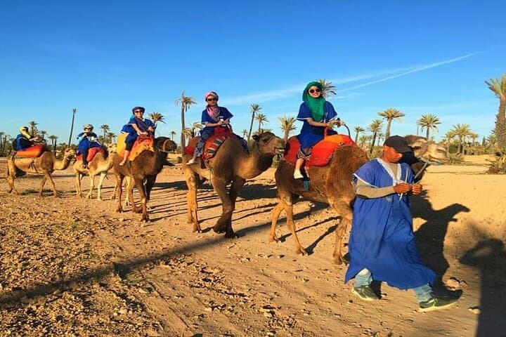 Camel Ride Through Marrakech's Palmeraie: 1-Hour Palm Grove Experience photo 2