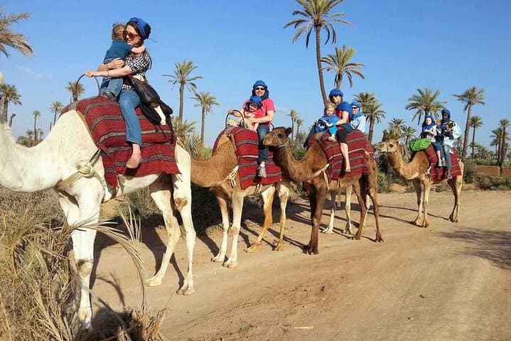 Camel Ride Through Marrakech's Palmeraie: 1-Hour Palm Grove Experience photo 3
