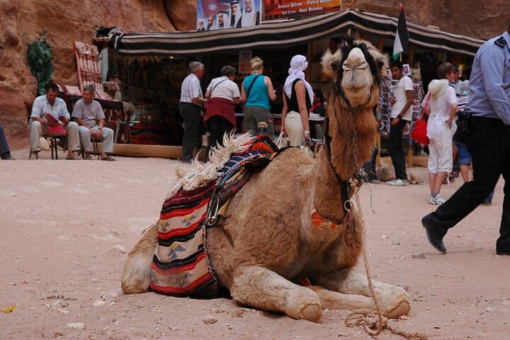 Wadi Rum Day Trip from Aqaba Port: Private Jeep Tour with Bedouin Lunch photo 6