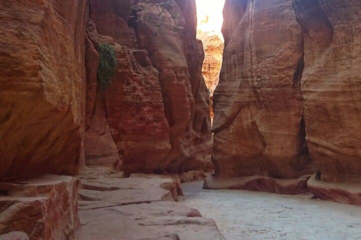 Full-Day Petra Sightseeing from Sharm El Sheikh: Sail, Drive & Explore the Treasury photo 4