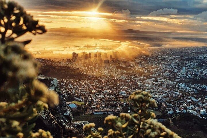 Lion's Head Sunrise & Sunset Hike — Cape Town Skyline Ascent photo 5