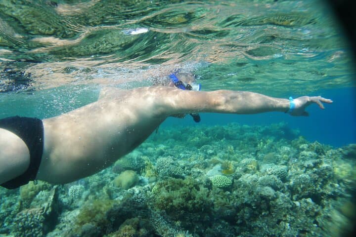 Blue Hole and Three Pools Snorkeling Day Trip from Dahab photo 6