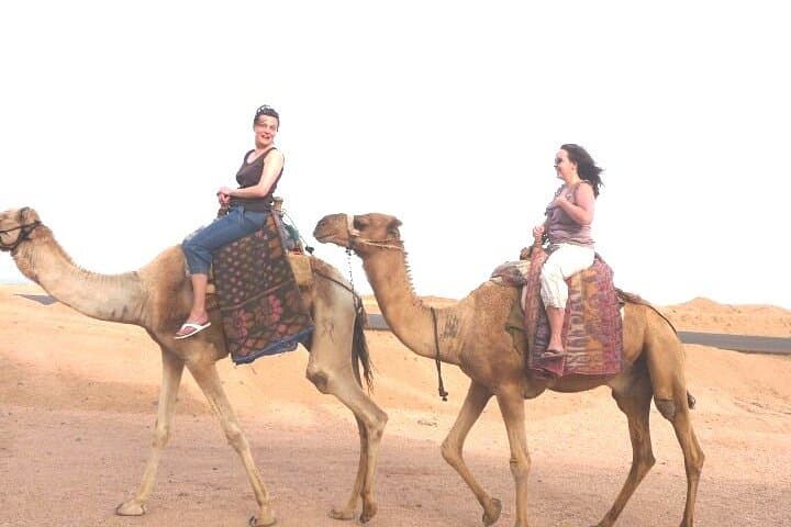 Sunset Camel Safari to Blue Lagoon & Wadi Bida — 1-Hour from Dahab photo 4
