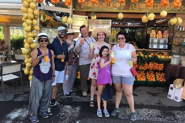 From Ruins to Riviera: Private Pompeii, Positano & Amalfi Day Trip from Rome photo 2