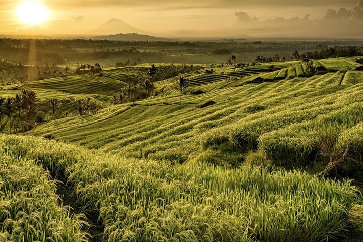 Full-Day Private Tour: Bedugul, Jatiluwih & Tanah Lot — Bali Temples & Rice Terraces photo 5