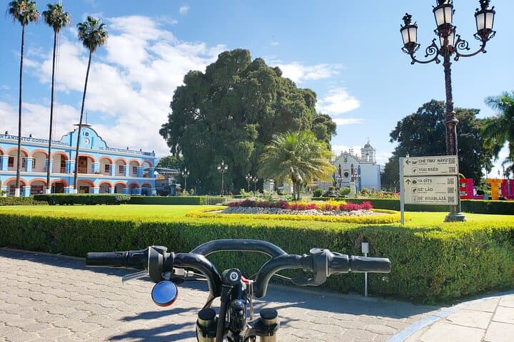 Bike Ride to El Tule — 20km Guided Ride from Oaxaca to the World's Widest Tree