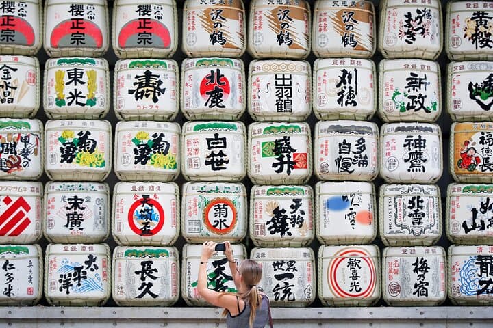 Tokyo Instagram Highlights: 6-Hour Private Photo Tour with Licensed Guide