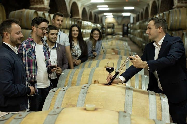 Private Tikvesh Wine Region Tour from Skopje — Vodno, Stobi & Wine Tasting photo 3