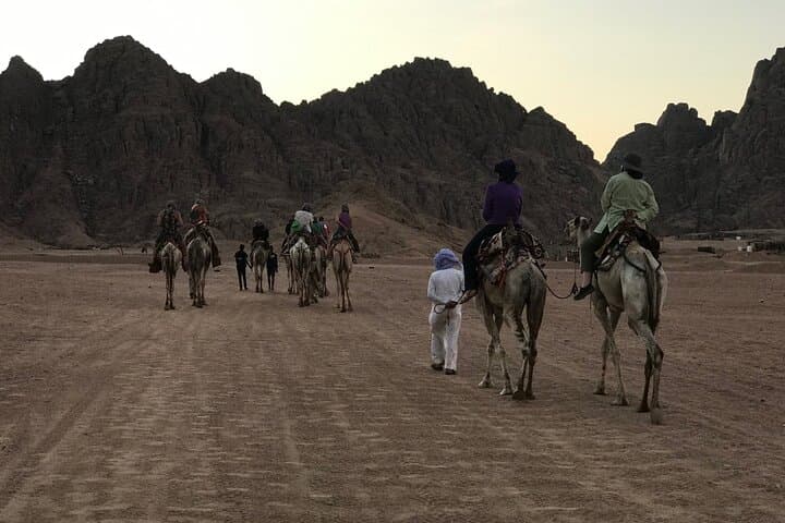 Sharm El Sheikh Bedouin Desert Dinner, Camel Ride & Stargazing Experience photo 5
