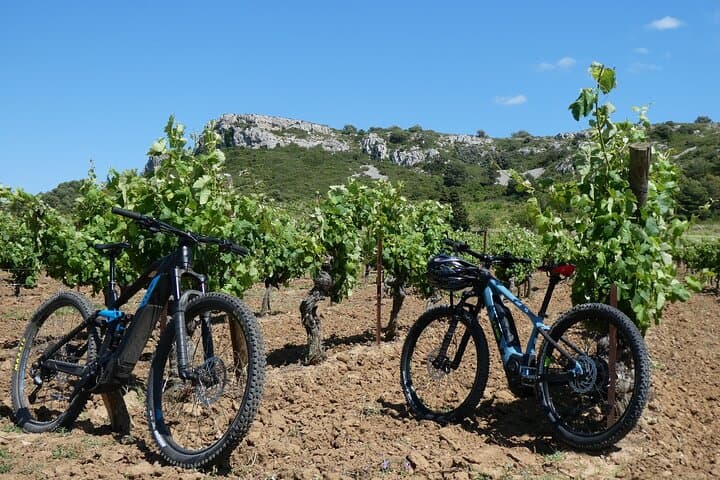 Private 2-Day Minervois Vineyard Escape: E‑Bike Tastings & Canal du Midi