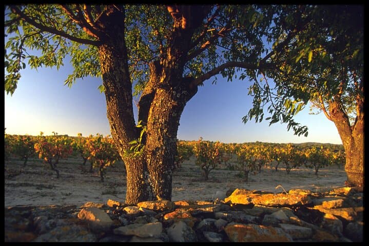 Private 2-Day Minervois Vineyard Escape: E‑Bike Tastings & Canal du Midi photo 3