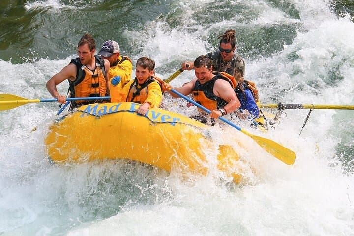 Snake River Small-Boat Whitewater Rafting from Jackson Hole photo 4