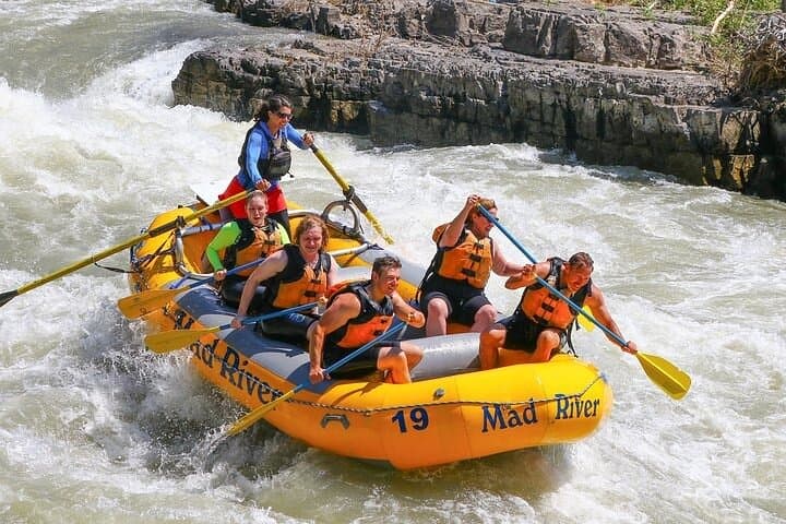 Snake River Small-Boat Whitewater Rafting from Jackson Hole photo 6