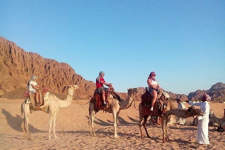 Sinai Desert Super Safari: Quad Biking, Camel Ride & Bedouin Dinner near Sharm El Sheikh photo 3