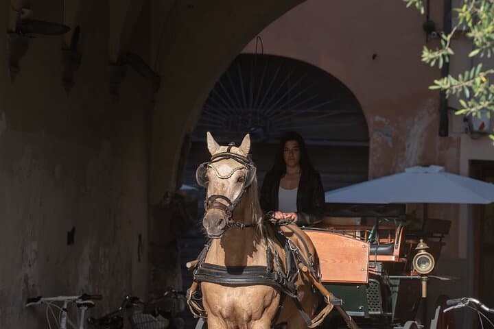 Lucca by Carriage: 30-Minute Historic Center Tour of Squares and Towers photo 3