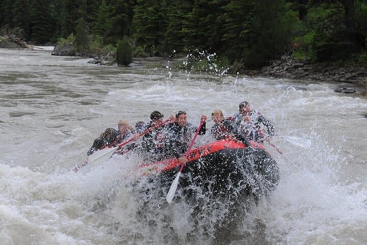 Jackson Hole Snake River 8-Mile Small-Boat Whitewater Trip photo 5
