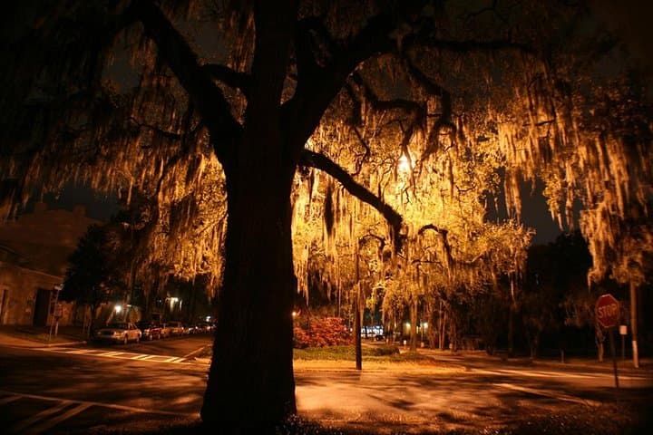Savannah Ghosts of Christmas Past Tour — Victorian Holiday Ghost Walk photo 4