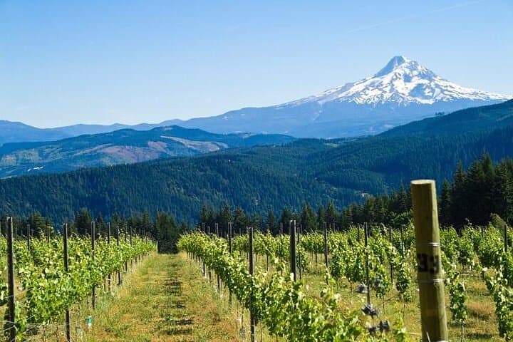 Columbia River Gorge Waterfall Tour — Multnomah, Latourell & Vista House from Portland photo 3