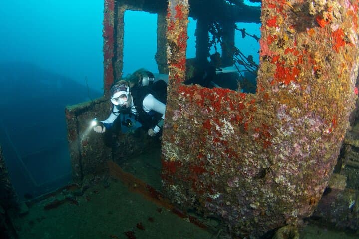 Dive the Ex-HMAS Swan Wreck: Two-Tank Charter Off Dunsborough
