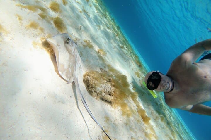 Sail and Snorkel El Cielo: Cozumel Catamaran Reef & Beach Day photo 4
