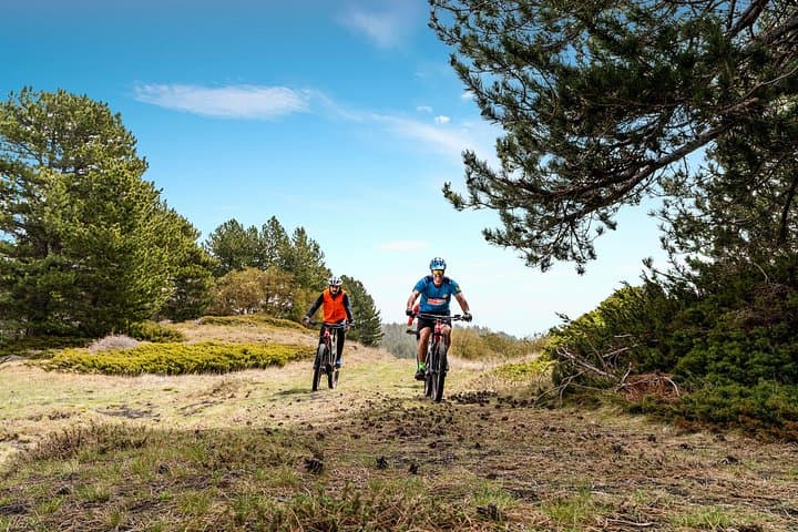 Half-Day Mountain Bike Tour on Mount Etna (South) — Lava Trails & Pine Forests photo 1