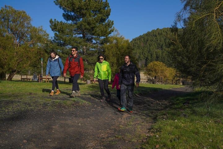 Private Mt. Etna Trekking and Picnic from Catania: Half-Day Volcano Hike photo 2