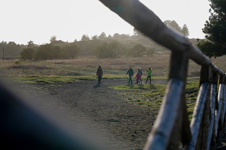 Private Mt. Etna Trekking and Picnic from Catania: Half-Day Volcano Hike photo 3
