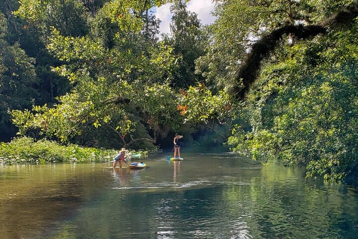 Wekiva Springs Paddleboard & SUP Yoga at Wekiva Island photo 6