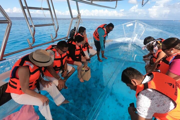 Clear-Boat Snorkeling in Cozumel: Crystal-Clear Boat Tour & Reef Snorkel photo 3