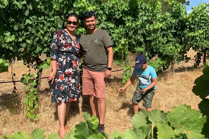 Ferguson Valley Geographe Wine Region Day Tour from Bunbury photo 5
