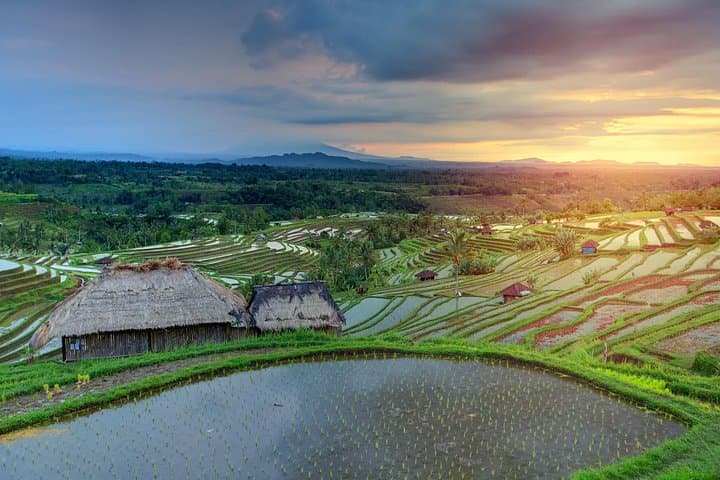 Hidden Waterfall, Jatiluwih Rice Terraces & Batukaru Mountain Temple Day Tour photo 3