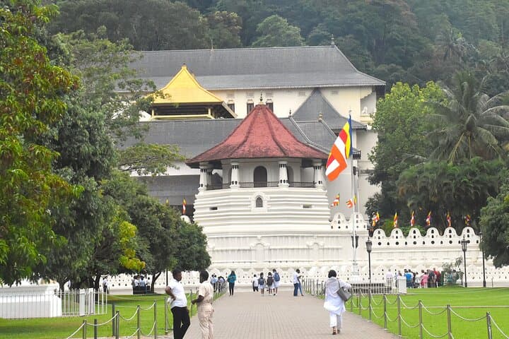 7-Day Classical Sri Lanka Tour: Sigiriya, Kandy, Tea Country & Yala Safari photo 6