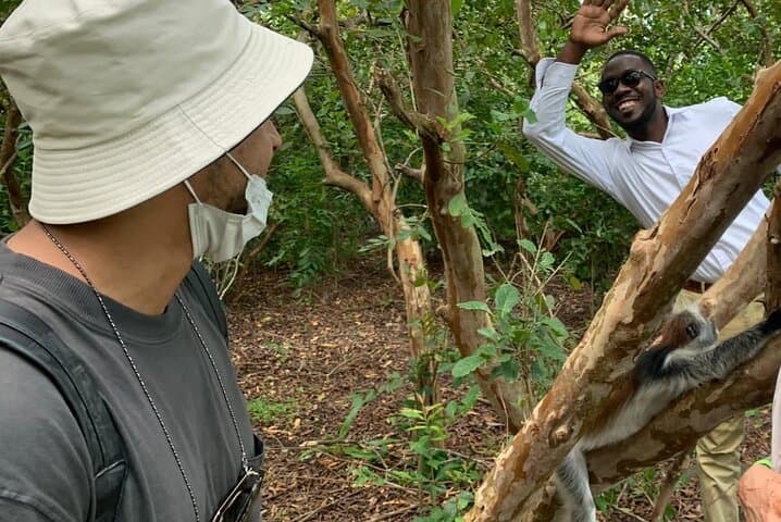 Jozani Forest Red Colobus Walk and Pete-Jozani Mangrove Boardwalk photo 3
