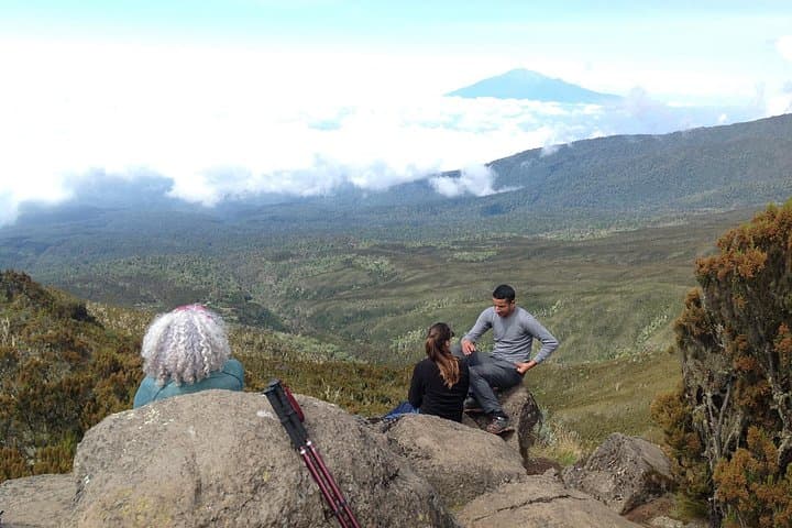 7-Day Lemosho Route Kilimanjaro Trek: Itinerary, Tips & What to Expect photo 5