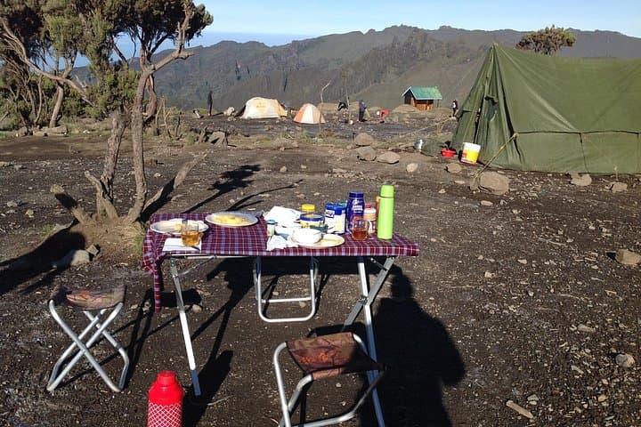 7-Day Lemosho Route Kilimanjaro Trek: Itinerary, Tips & What to Expect photo 6