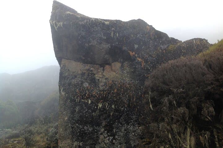 Summit Kilimanjaro on the Machame Route: 6-Day Private Trek to Uhuru Peak photo 5