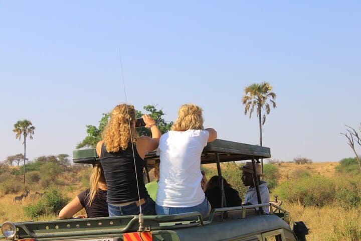11-Day Private Southern Tanzania Safari: Selous, Ruaha & Mikumi Adventure photo 3