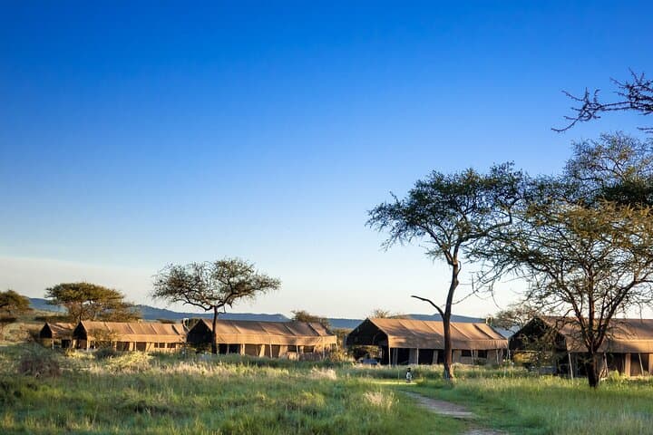 11-Day Private Southern Tanzania Safari: Selous, Ruaha & Mikumi Adventure photo 4