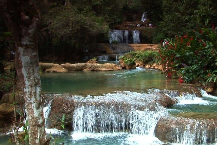 Appleton Estate and YS Falls Private Tour: Rum Tasting & Cascading Pools on Jamaica's South Coast photo 5