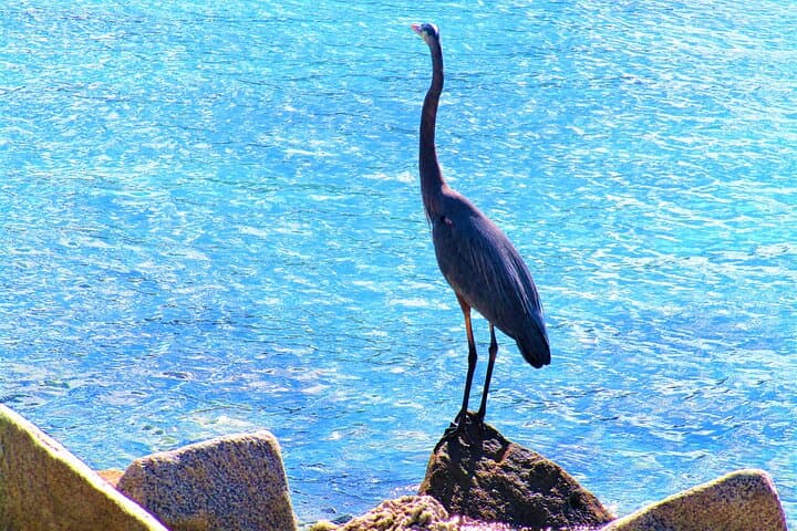 South Pointe Park Walking Tour — Miami Beach's Southern Tip & Coastal Ecology photo 3