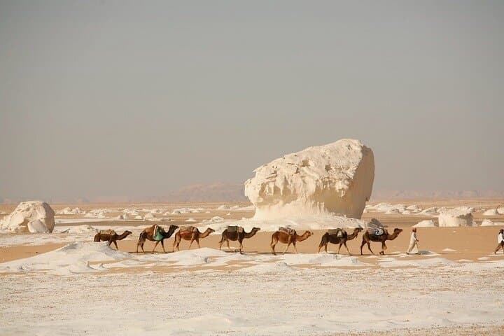 White Desert & Bahariya Oasis: 4-Day Private Desert Safari from Cairo
