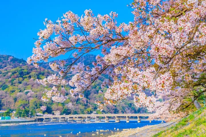 Kyoto Instagram Highlights: Private 6-Hour Photo Tour with Licensed Guide photo 6