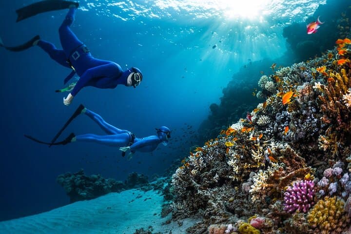 Budget Snorkeling Day Trip to Giftun Island from Hurghada