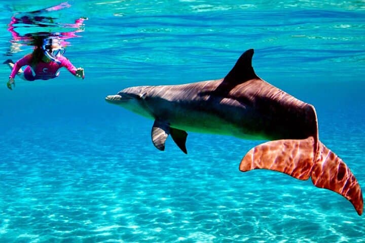 Budget Snorkeling Day Trip to Giftun Island from Hurghada photo 2