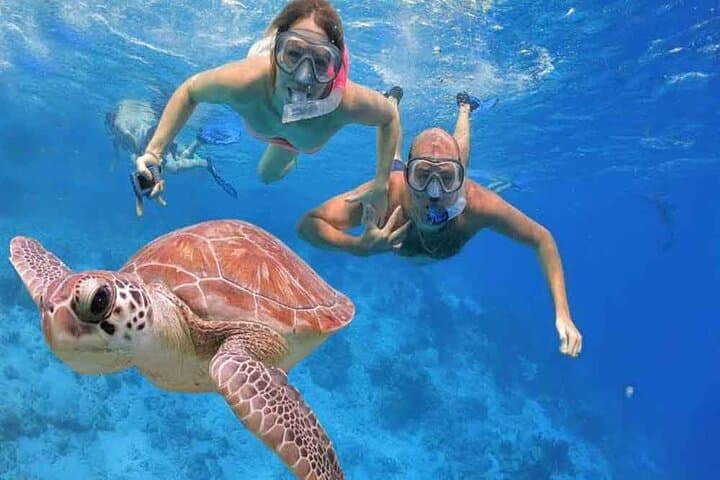 Budget Snorkeling Day Trip to Giftun Island from Hurghada photo 4