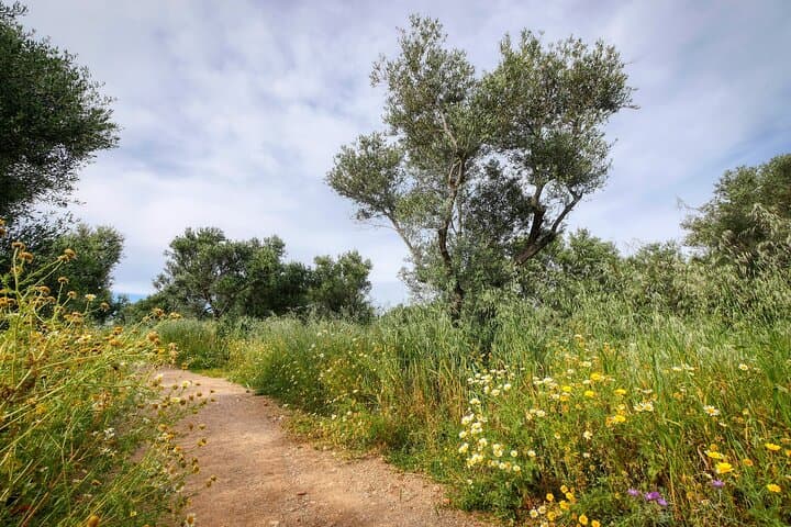 Kydoni Gorge Half-Day Walk: Karanos to Meskla Hiking Adventure