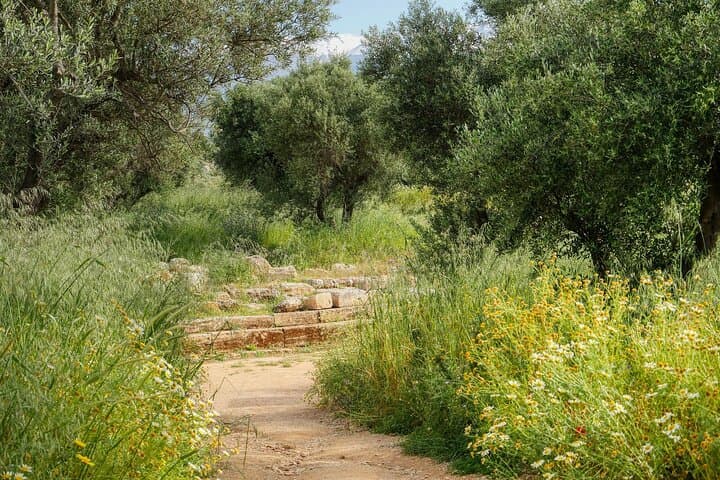Kydoni Gorge Half-Day Walk: Karanos to Meskla Hiking Adventure photo 4