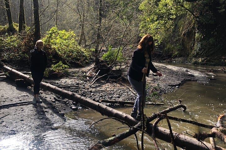 Forest Bathing in the Santa Cruz Redwoods — Guided Nisene Marks Experience photo 2